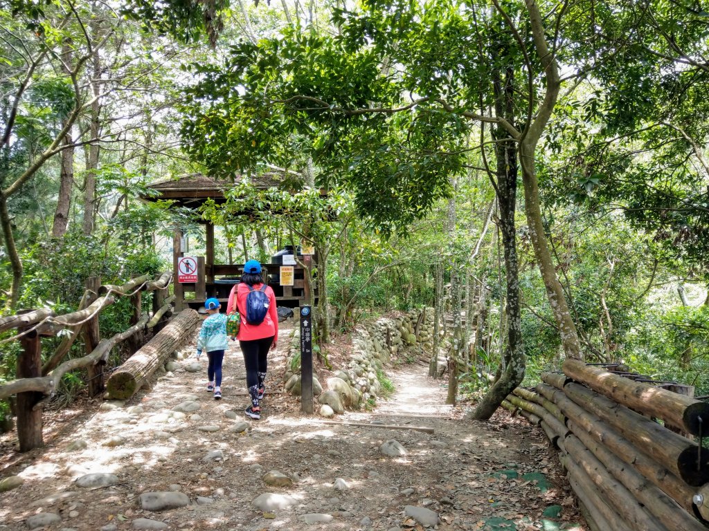 頭嵙山(小百岳#41)大坑4,5,1步道_1003678
