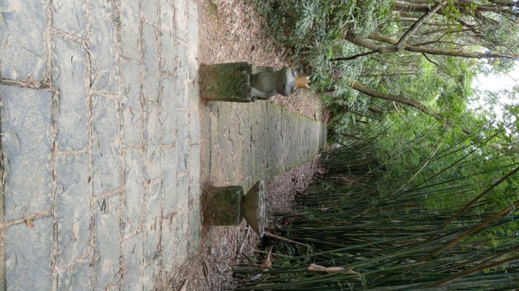 大崙頭尾山_1148888