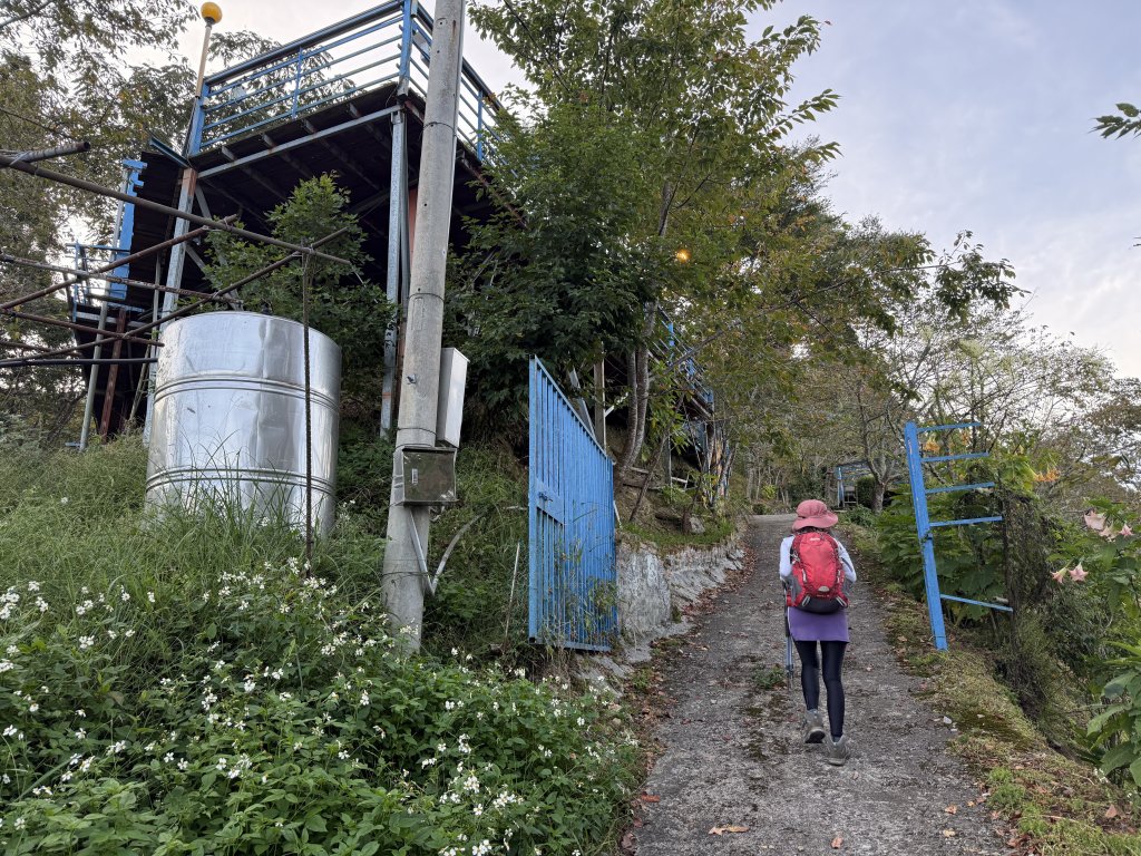 塔曼山 連走 拉拉山森林遊樂區 O繞 20251011_2923647