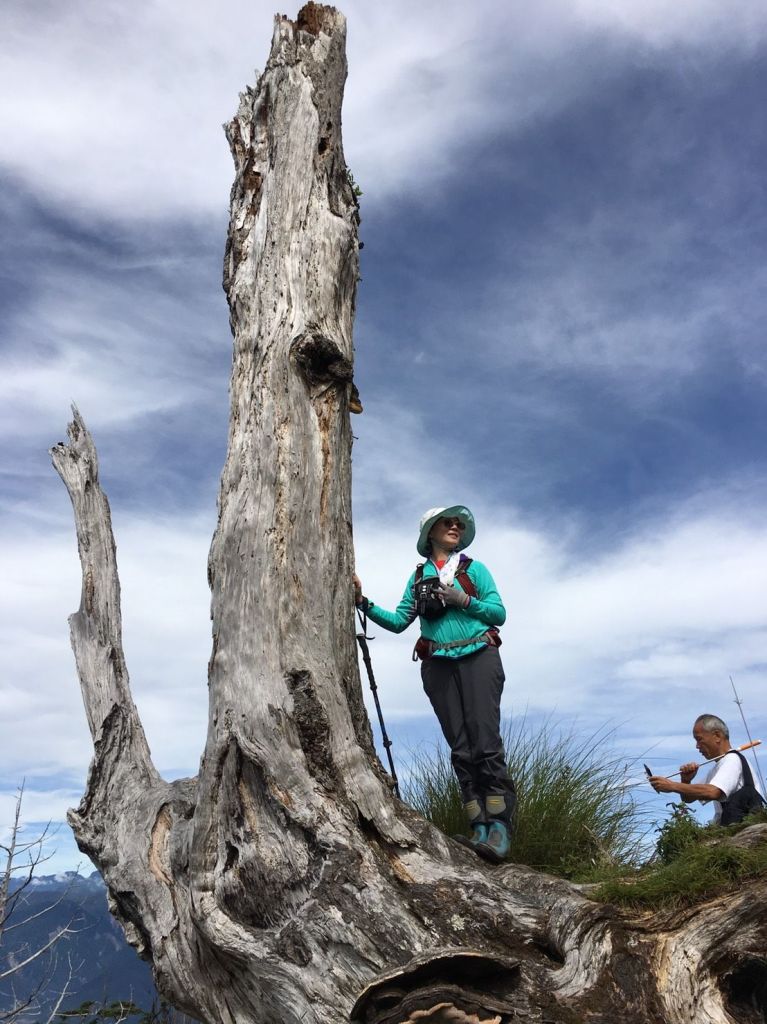 加羅湖-加羅山-偉蛋池-檜木池-_140242
