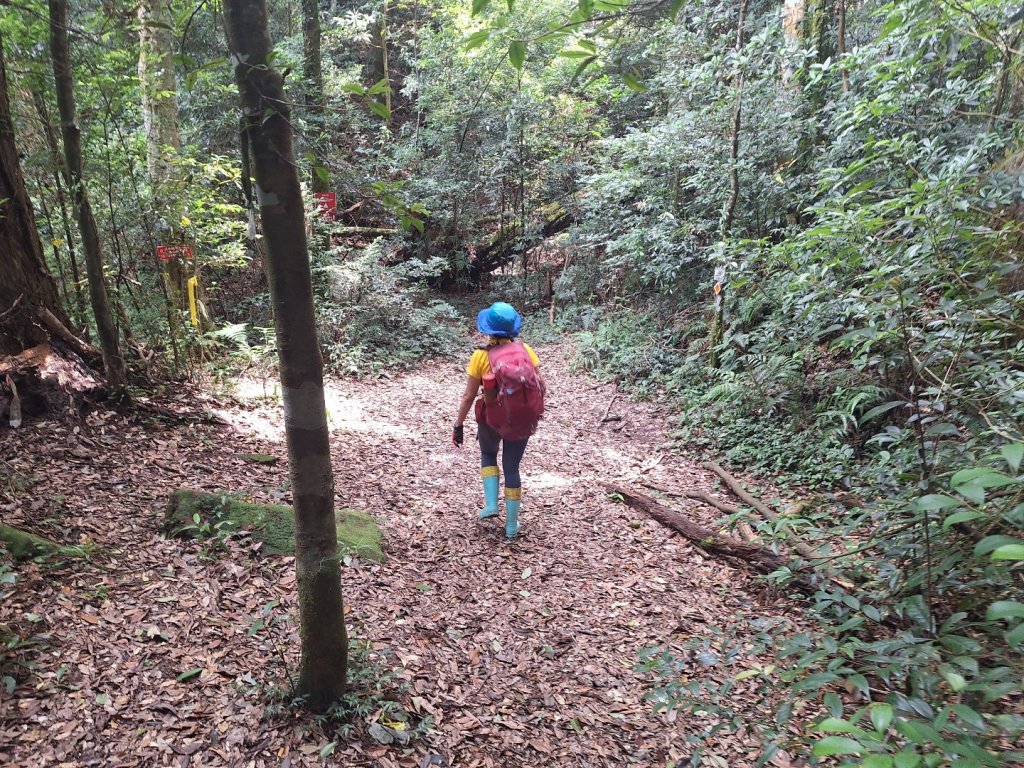 嘎色鬧上那結山_2575535