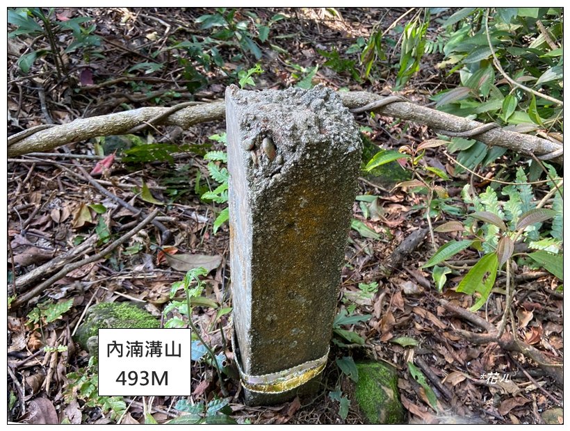 頭寮山、內湳溝山、牛角湳西南峰O型連走_2738970