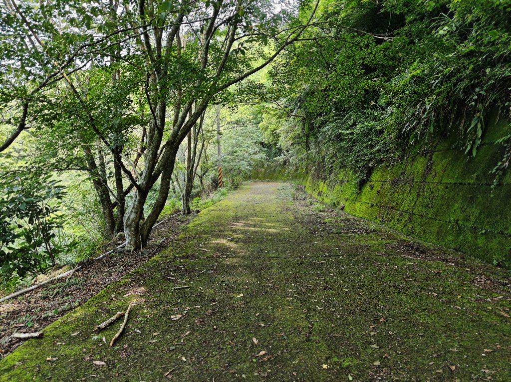 2025_0601 赫威山_2802273