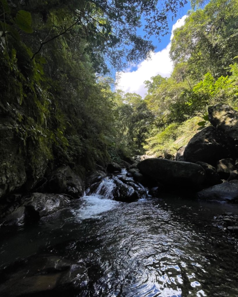 烏來加九寮溪-卡拉莫基清幽小秘境/釣魚💙_2589505