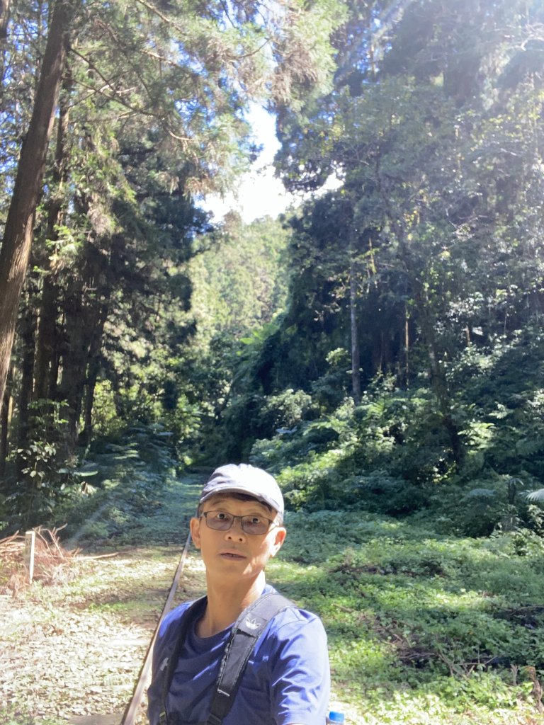 十字路德恩亞納封面圖