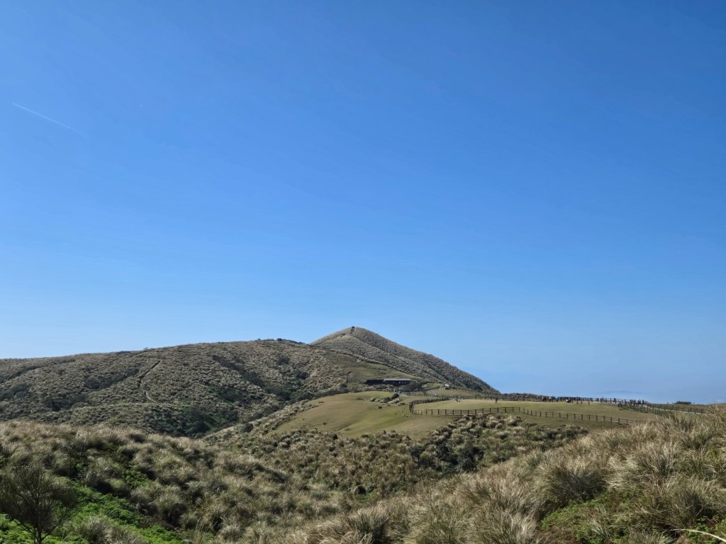 擎天崗環形步道_2722252