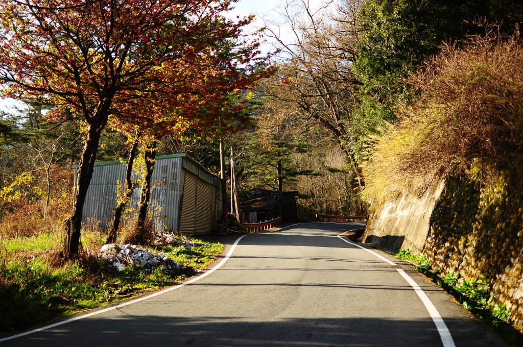 武法奈尾山天巒池_872443