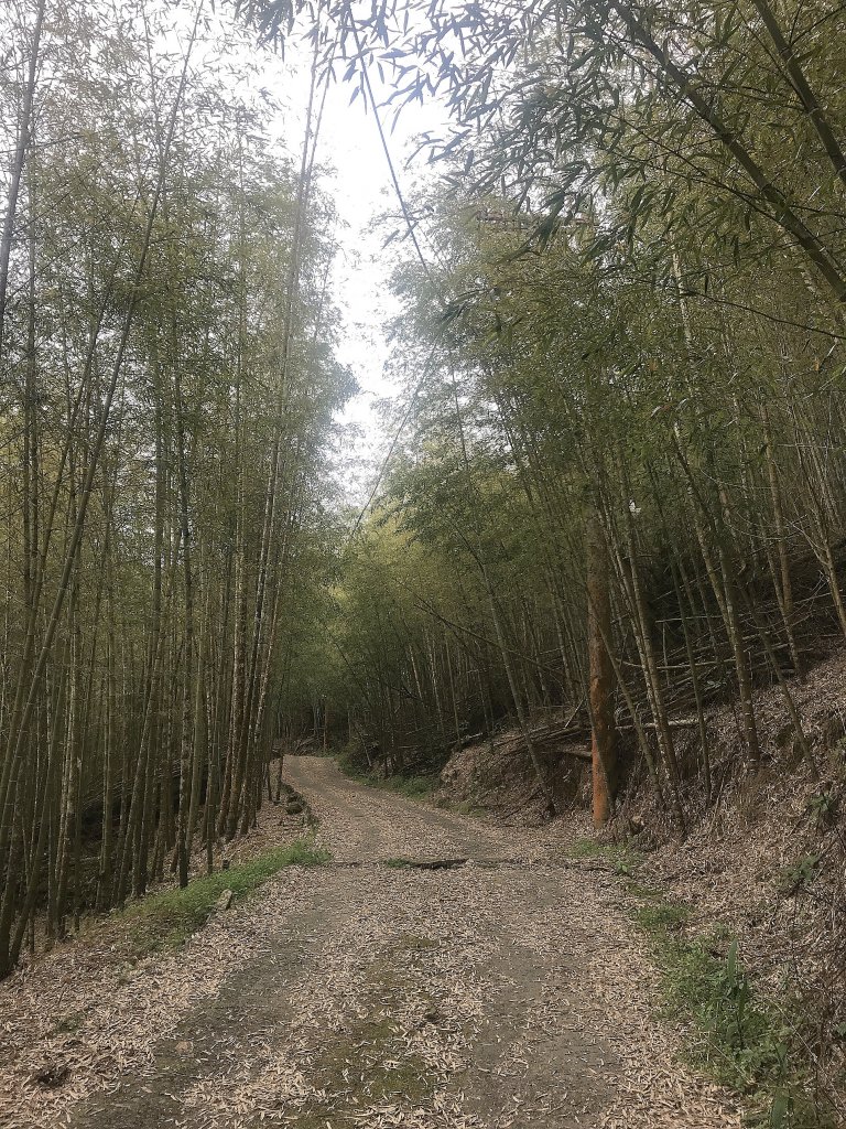 ~  集 集 大 山  ~_1634132