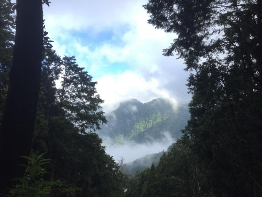 阿里山賓館~祝山小火車~小笠原觀日出_661532