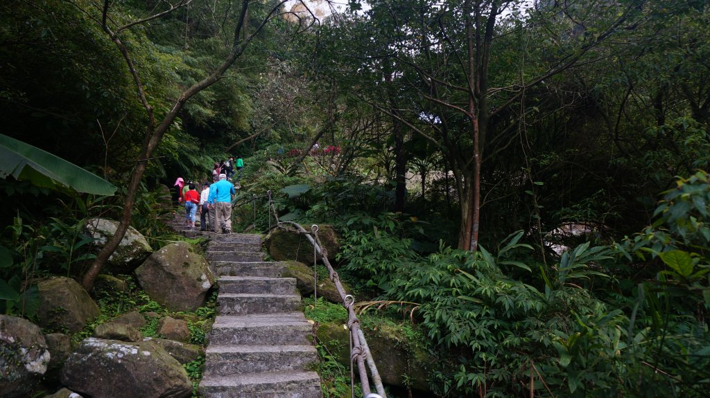 姜子寮山 旗尾崙山 姜子寮絕壁 連走_1281179