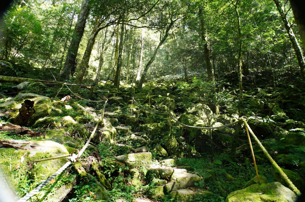 台中 和平 鳶嘴山_2926904