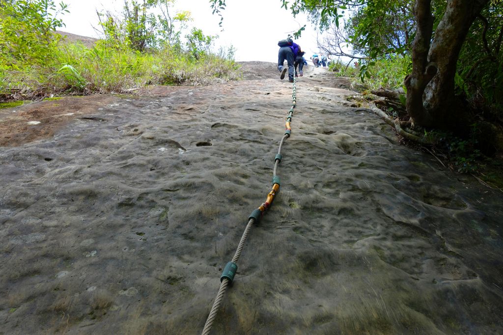五寮尖 O型 2018.02.18_294534
