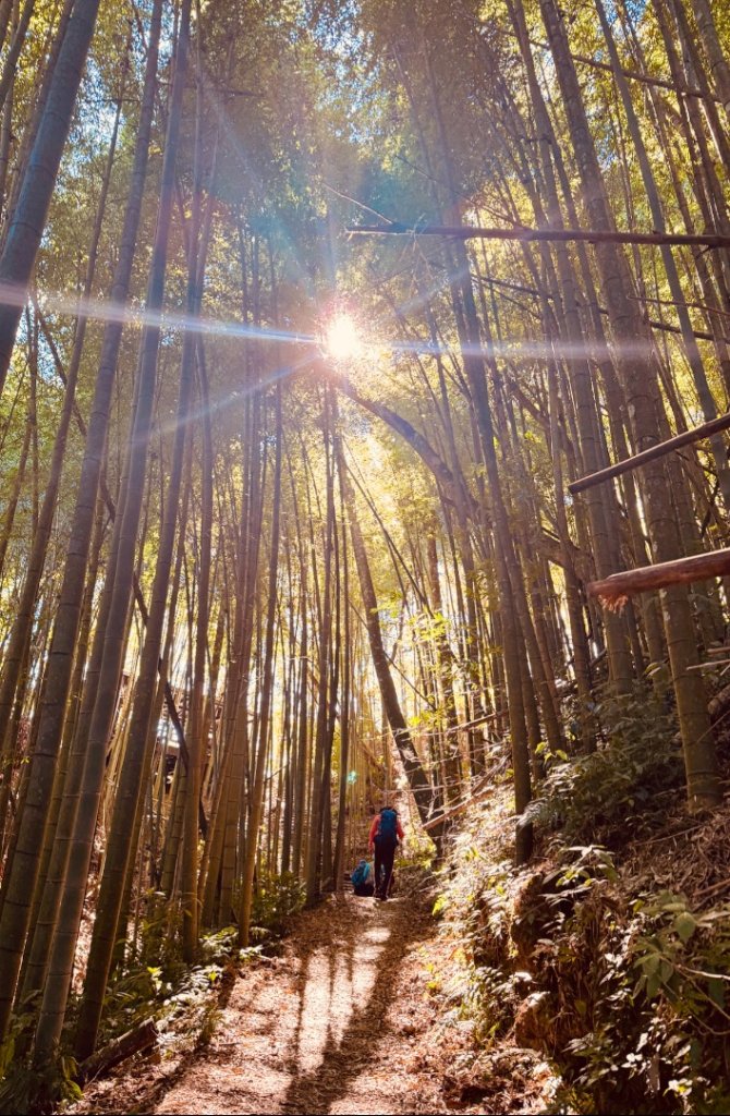 九穹神木 左訪嘉南雲峰 右到好望角看風景上石壁山(小百岳#55)_2944824