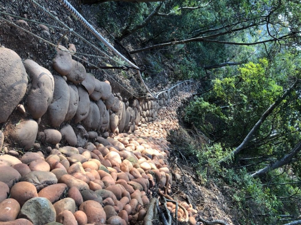 110.01.07登山*車遊_1231898