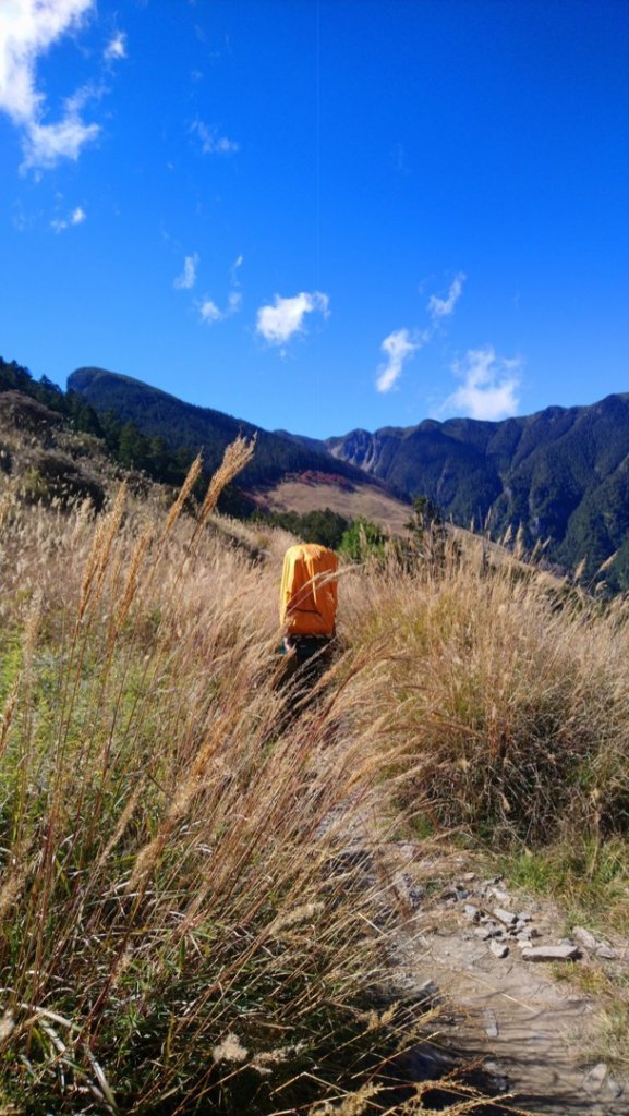 雪主東秋之一日饗宴～巒大花楸_1513297