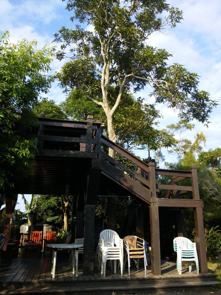 咬人狗坑狗很多_686914