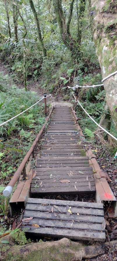 2023 4/9 都蘭山_2107725