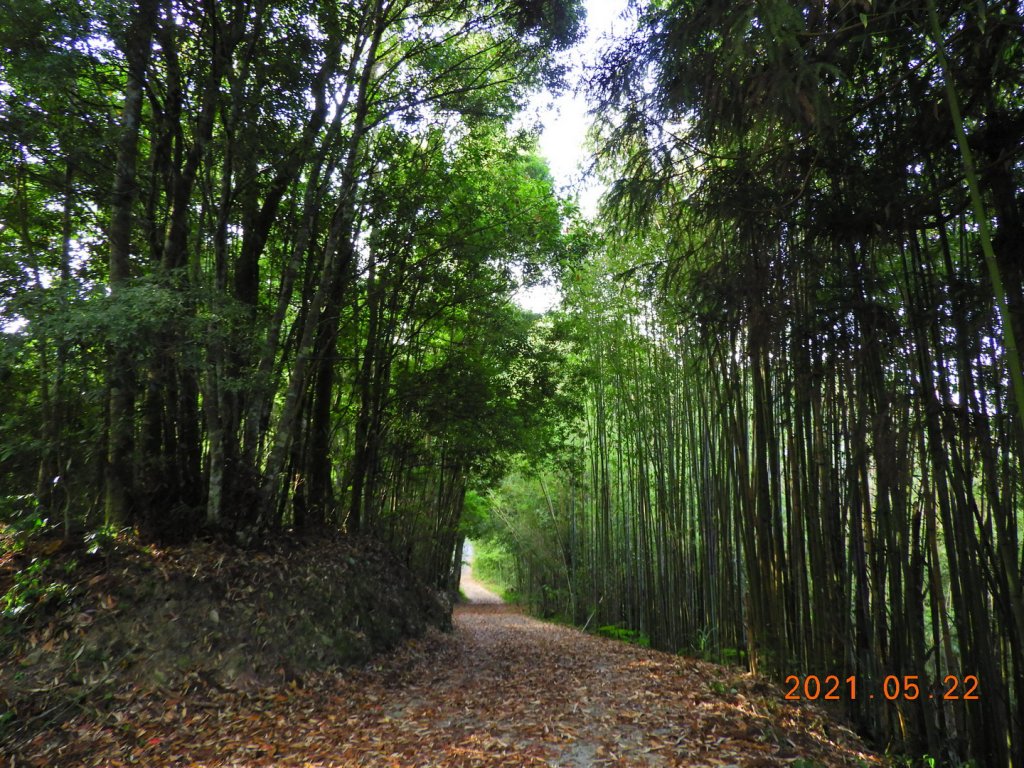 桃園 復興 馬望僧侶山_1405093