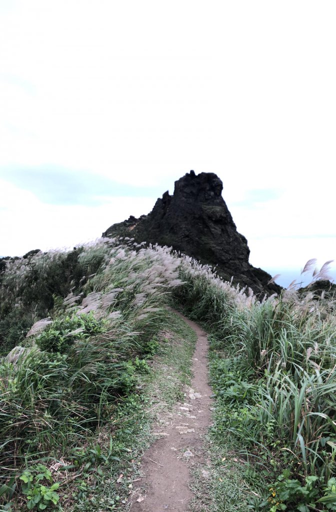 瑞芳-小錐麓/劍龍稜/鋸齒稜/無耳茶壺山_466923