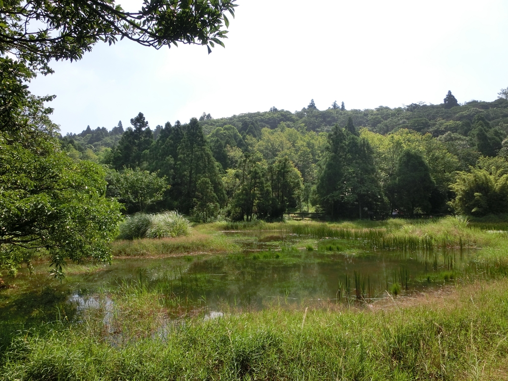 冷擎步道．日人路．魚路古道_94271