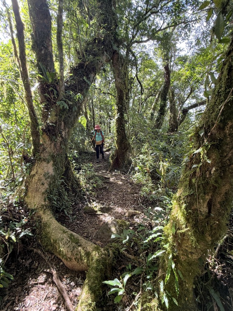 都蘭山 2024/12/07_2668205