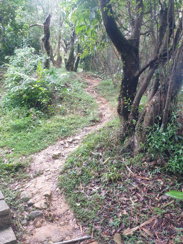 臺北大縱走第六段_1516106