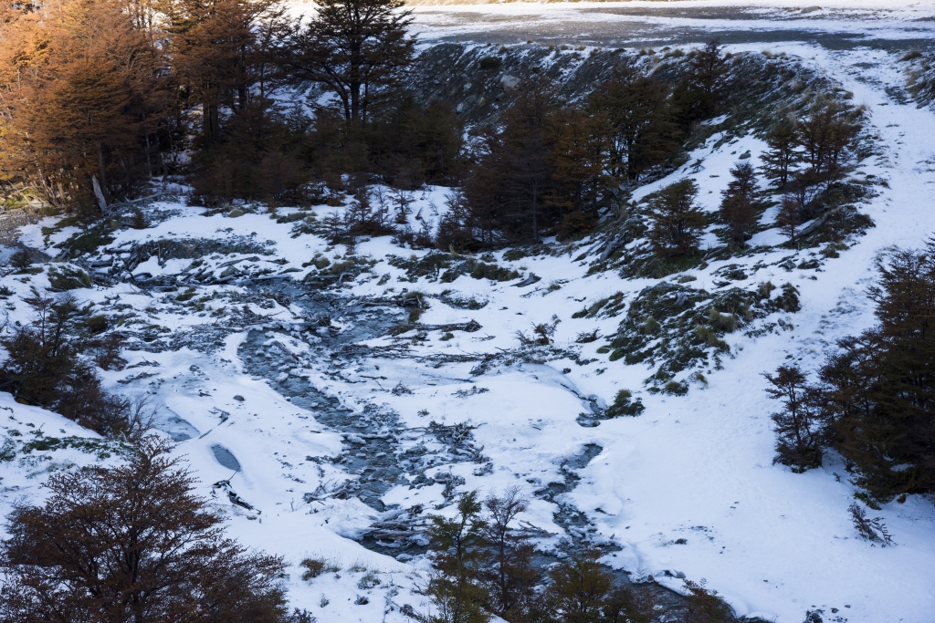 阿根廷火地島馬蒂爾冰河_53905
