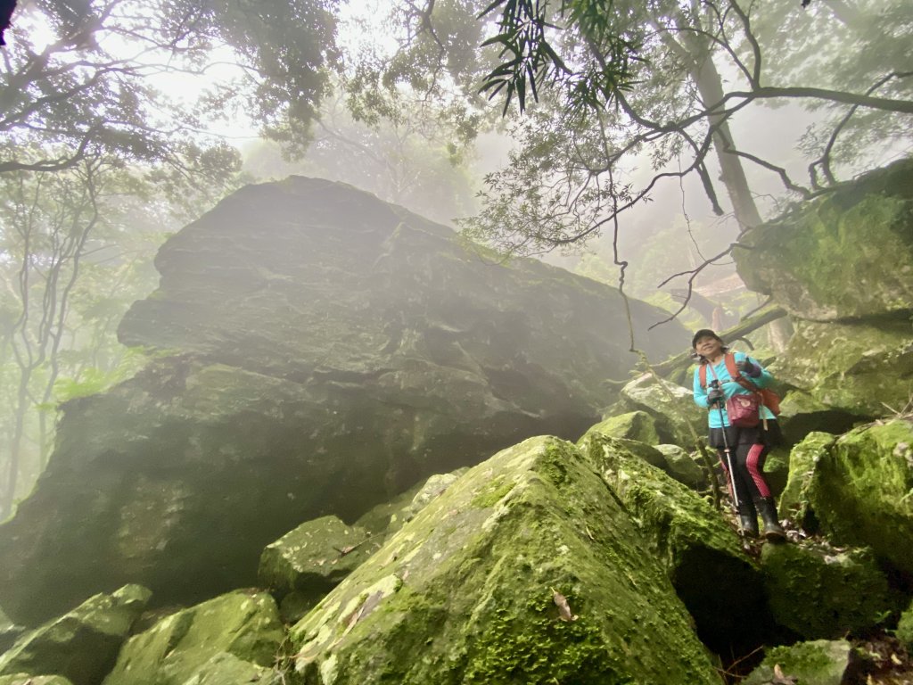 探訪鳶嘴鐵達尼石    2024.6.26_2537516