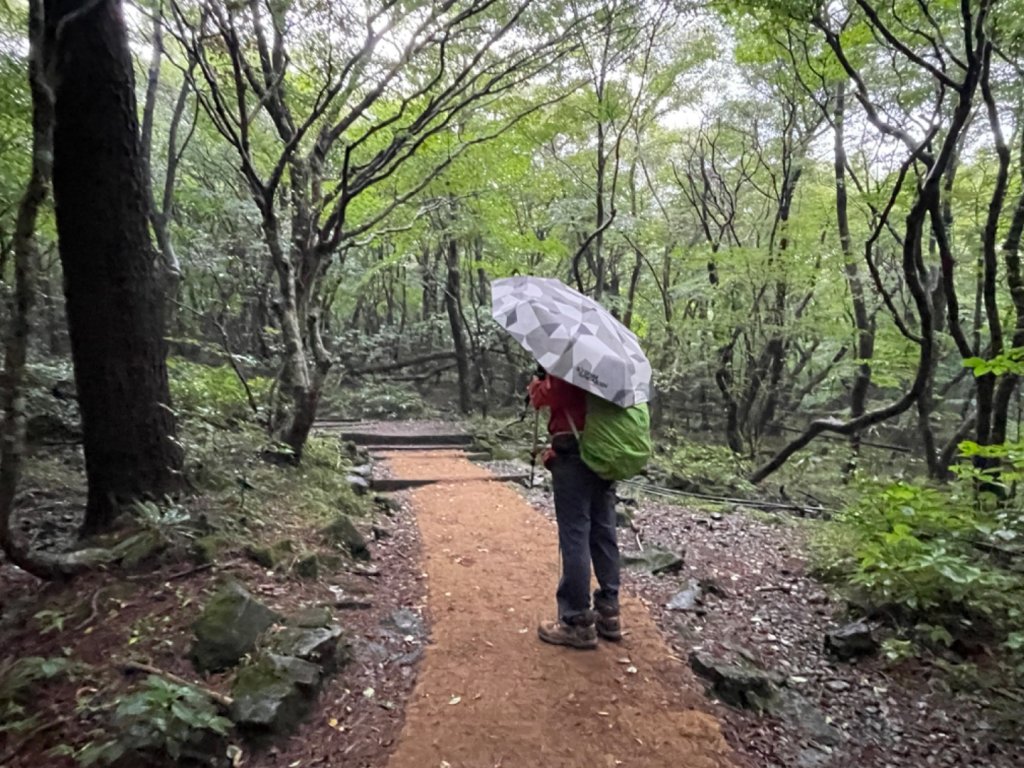 1140811 KR 漢拏山杜鵑花田避難所-紗羅岳觀景臺_2860088
