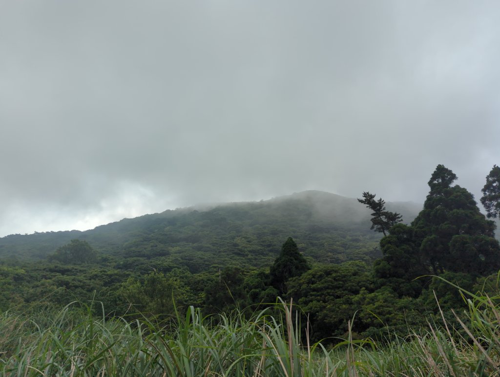 2025.05.17－大屯山步道下清天宮_2790039