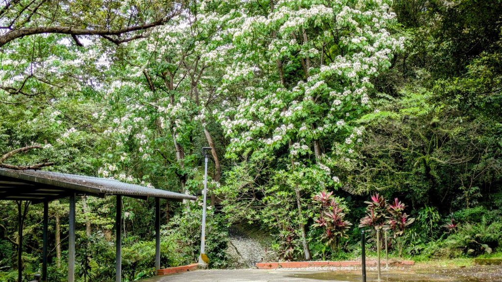 大尖山。走向_2770855