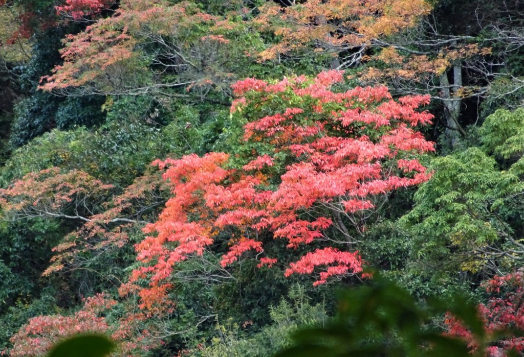 霞喀羅古道_1574806