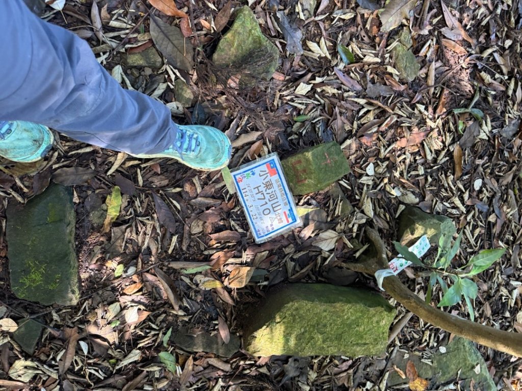 20250607 春谷養鱒場所上加里山 出大坪_2805203