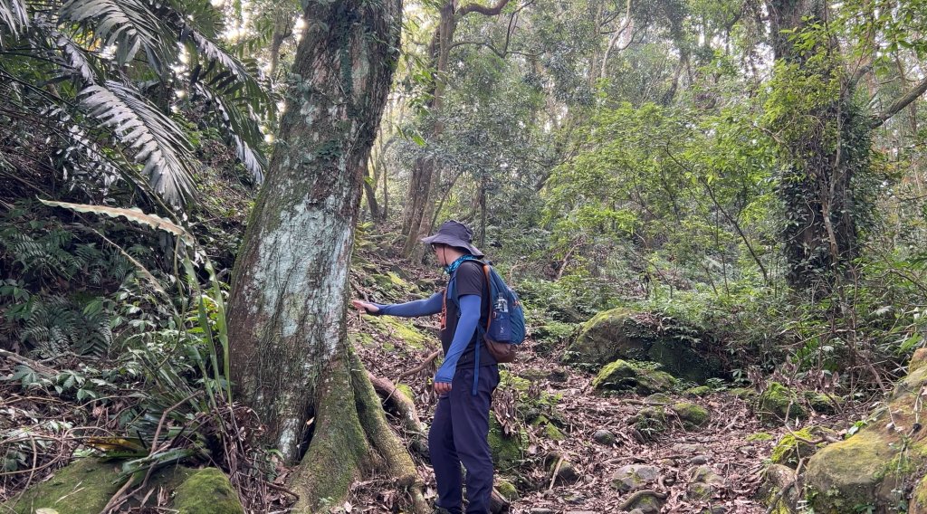 馬那邦山_2597591