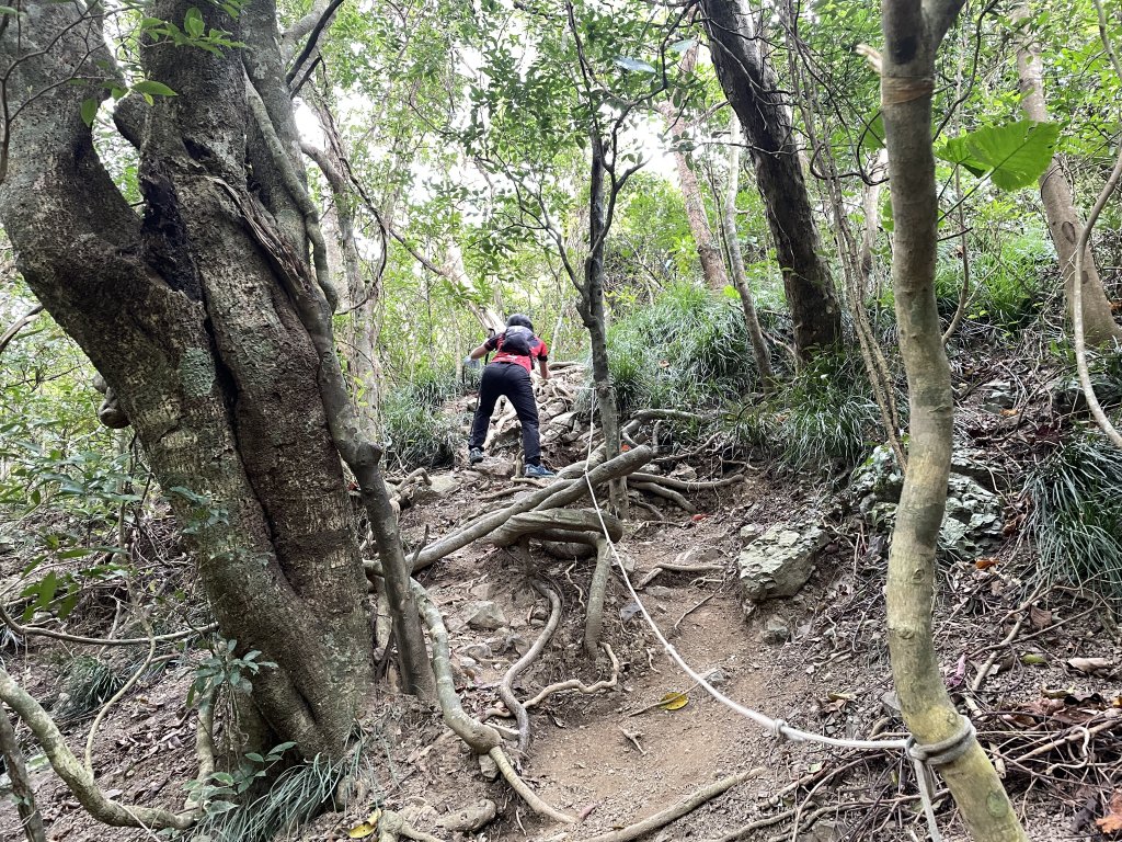 小百岳｜屏東獅子鄉女仍山_1606839