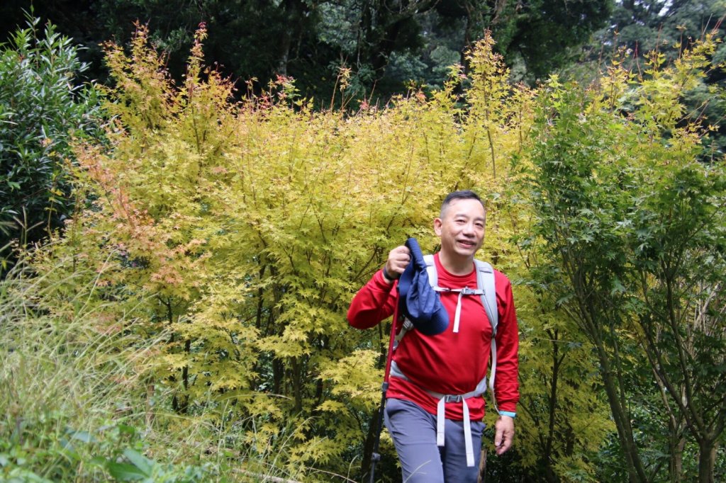 合歡山下華岡封面圖