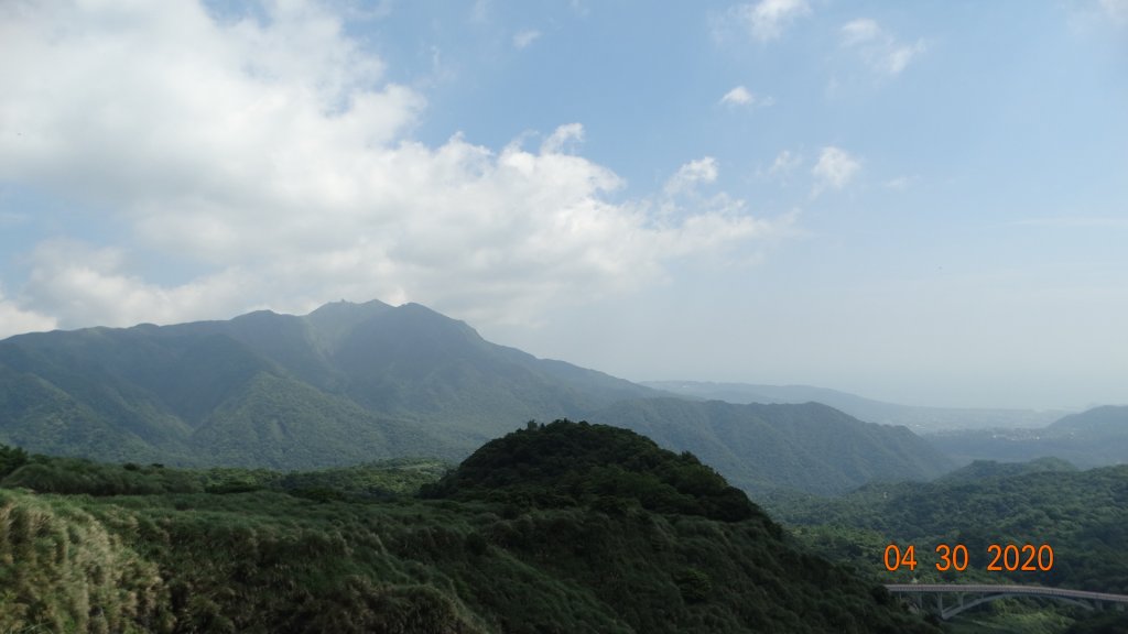 陽明山賞蝶趣_940603