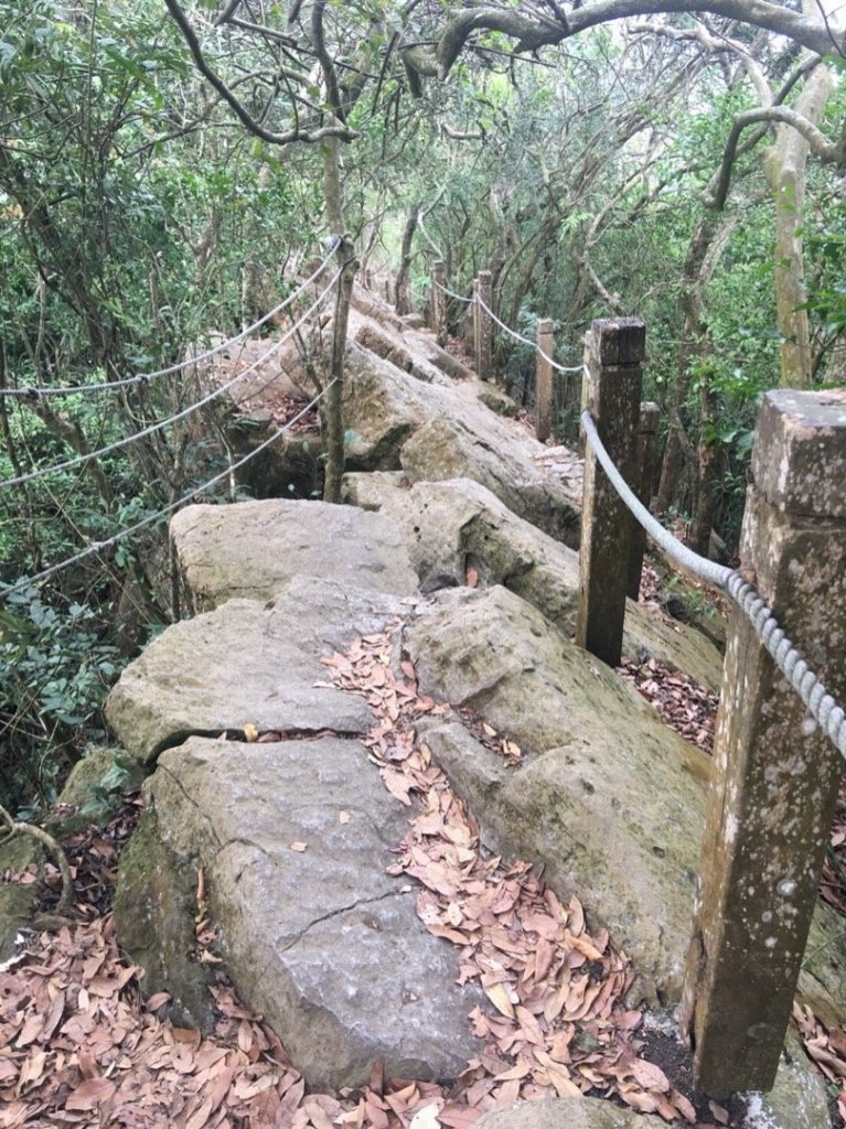 龍麟山步道_518956