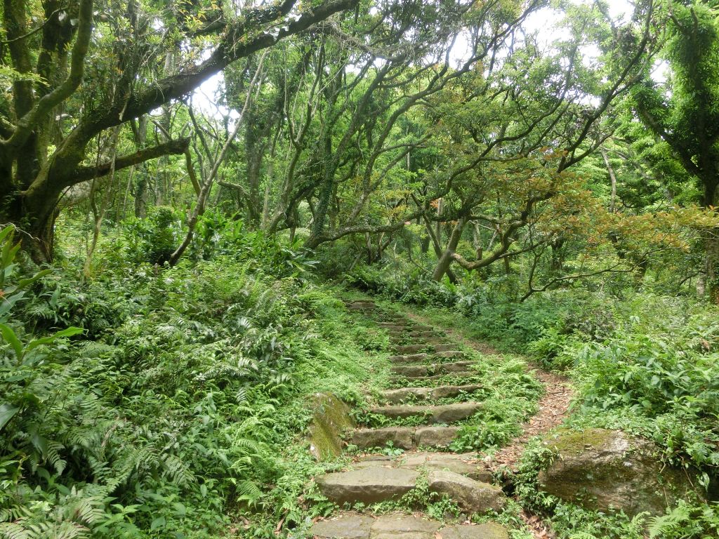 面天山．向天山．向天池_316001