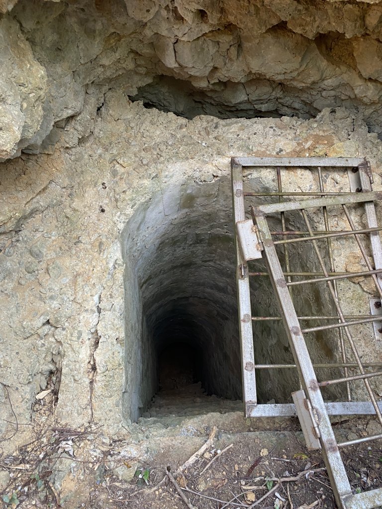 核三廠馬鞍山基石行   2023.6.5_2174904