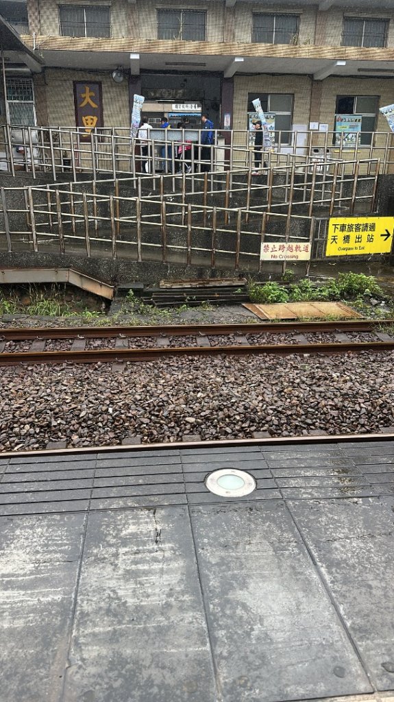 2024草嶺古道芒花季草嶺古道封面圖