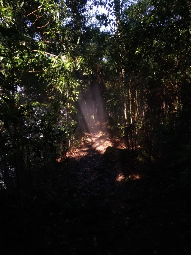 20221218 鵝公髻山_1966762