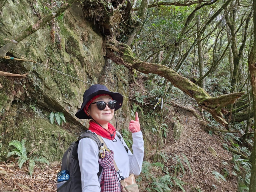 復興三尖之夫婦山_2356632