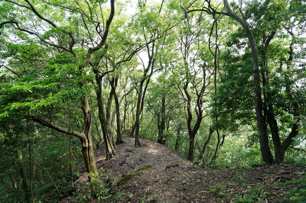 新北 平溪 峰頭尖_2779571