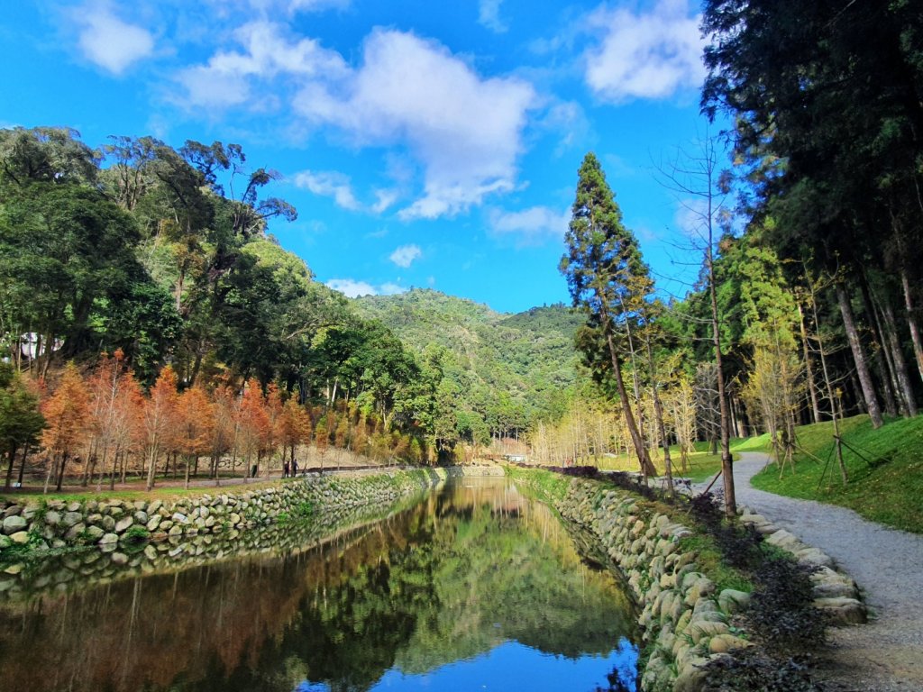 杉林溪靑龍蕨類步道（靑龍瀑布）封面圖