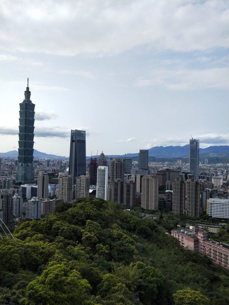 南港山縱走親山步道(拇指山、南港山、象山、九五峰)_1820214