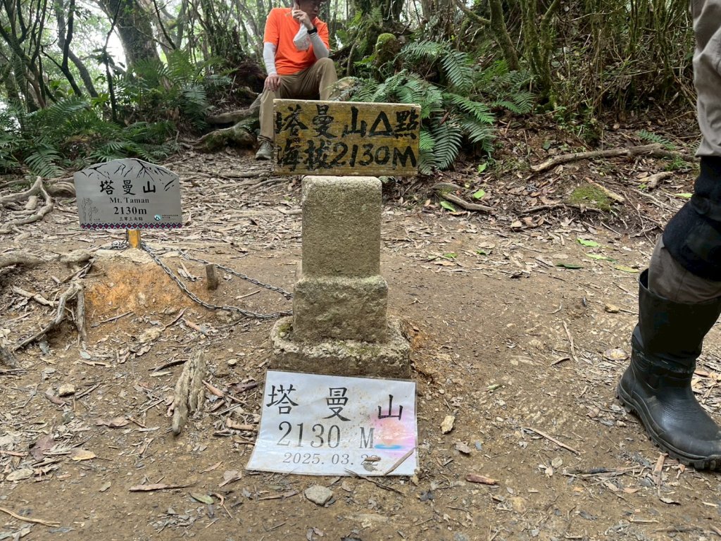 新北 塔曼山封面圖