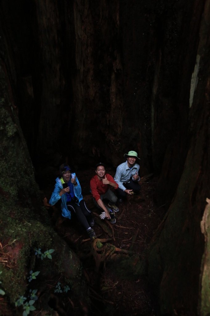 水樣森林 第一次在山裡過夜_659204
