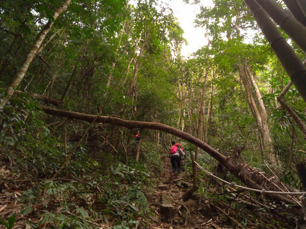 谷關七雄 白毛山_571654