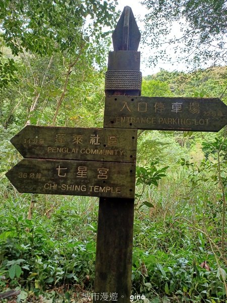 【苗栗南庄】沿途潺潺溪水聲。 蓬萊溪護魚步道_2688913